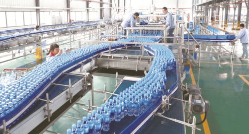 喜報！大豐榮登第二批國家全域旅游示范區名單，擘畫文旅發展新藍圖